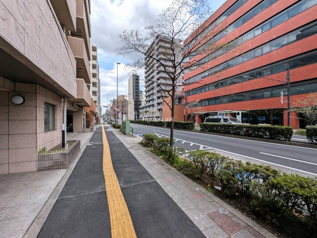 スカーラ池袋西　前面道路